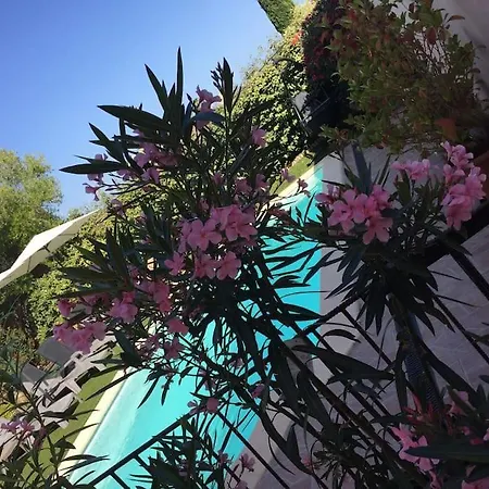 Semesterbostad Romance *